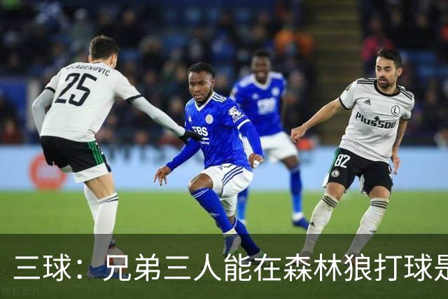 三球：兄弟三人能在森林狼打球是梦想成真 到时让大球打控卫