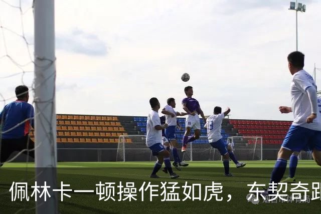佩林卡一顿操作猛如虎，东契奇距离终生无冠再进一步