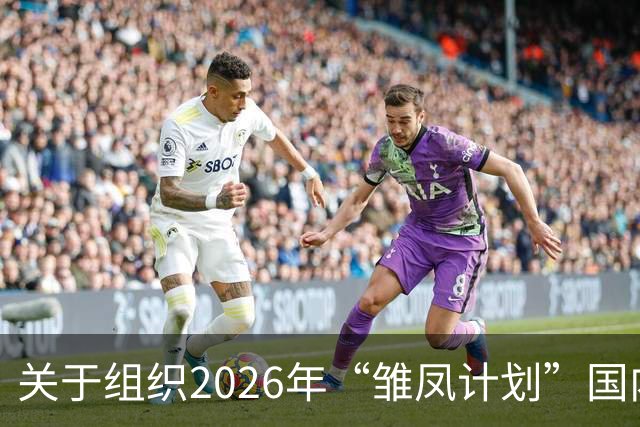 关于组织2026年“雏凤计划”国内选拔总营的通知