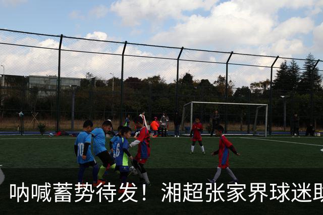 呐喊蓄势待发！湘超张家界球迷助威团集中排练，争做球队最强“第十二人”