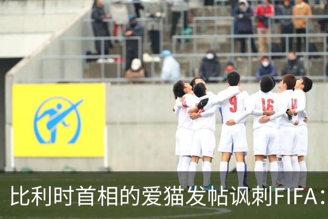 比利时首相的爱猫发帖讽刺FIFA：“红牌？”我照样继续踢！