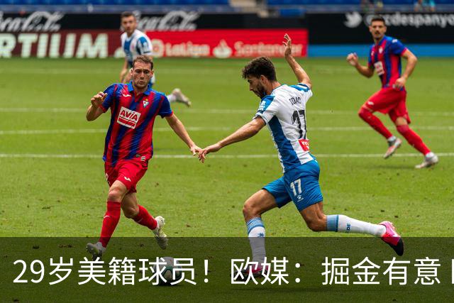 29岁美籍球员！欧媒：掘金有意 欧篮联DPOY阿尔法·迪亚洛